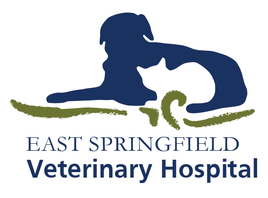 East Springfield Veterinary Hospital